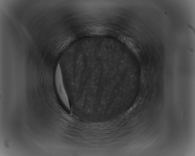 X0000097490017200803201540