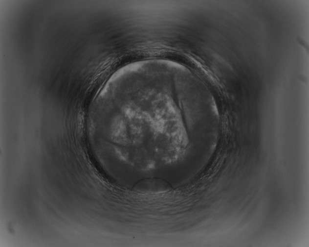 X0000097490018200803201540