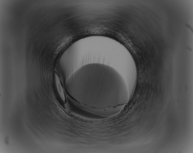 X0000097490019200803201540