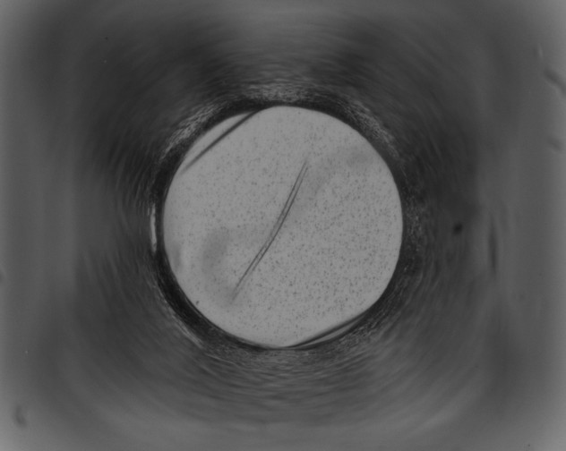 X0000097490020200803201540