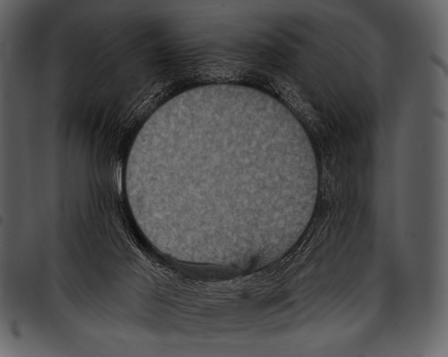 X0000097490021200803201540