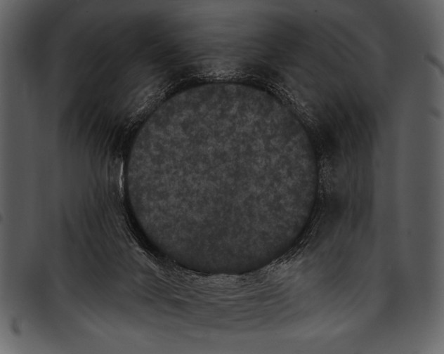 X0000097490024200803201540