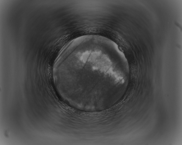 X0000097490029200803201540