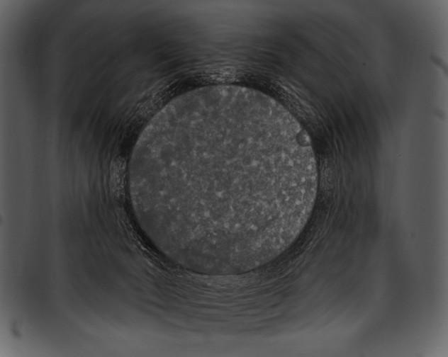 X0000097490030200803201540