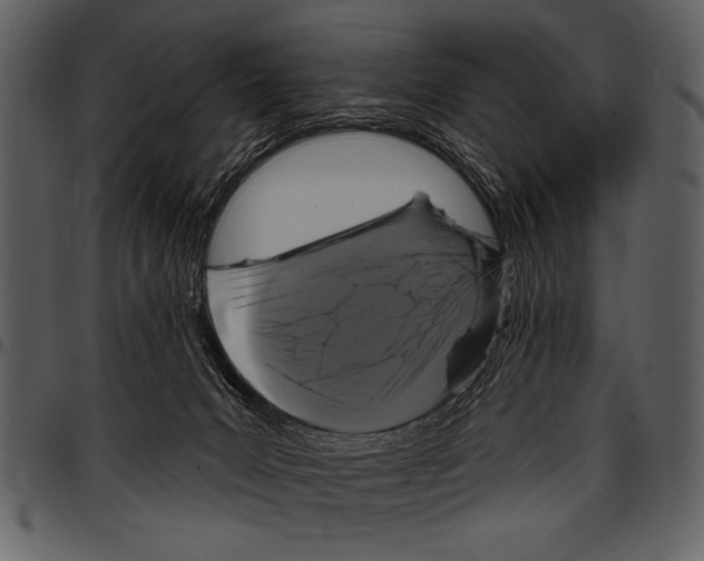 X0000097490031200803201540