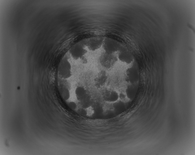 X0000097490032200803201540