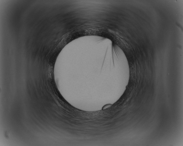 X0000097490038200803201540