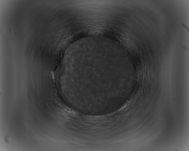 X0000097490041200803201540