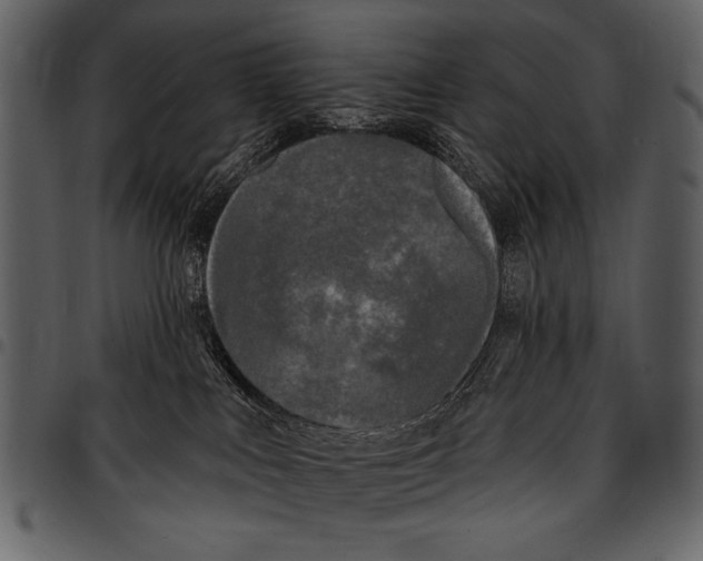 X0000097490043200803201540