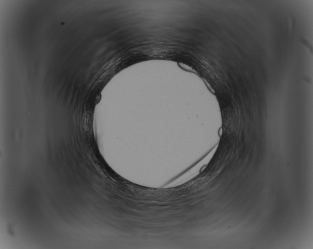 X0000097490044200803201540