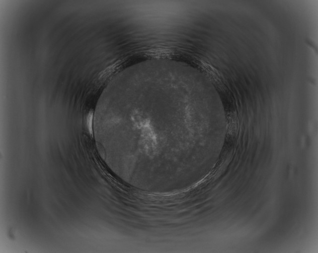 X0000097490047200803201540