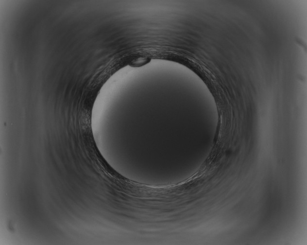 X0000097490048200803201540