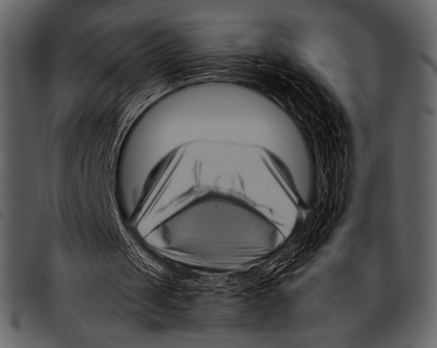 X0000097490049200803201539