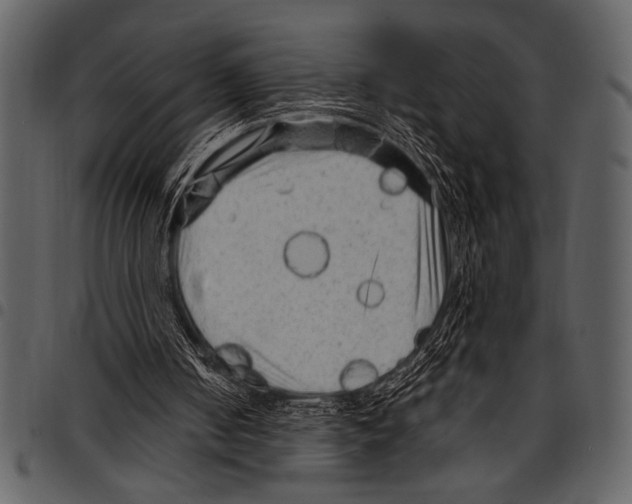 X0000097490050200803201539