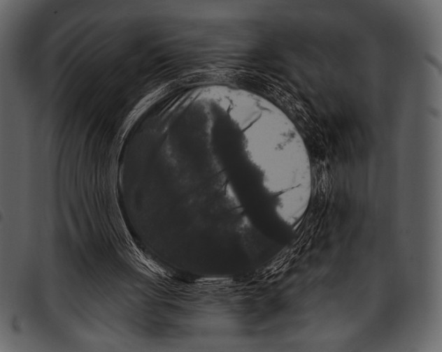 X0000097490051200803201539