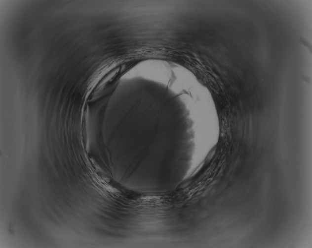 X0000097490052200803201539