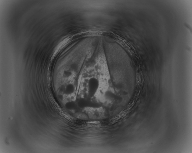 X0000097490053200803201539