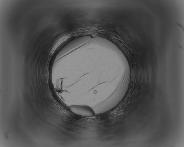 X0000097490054200803201539