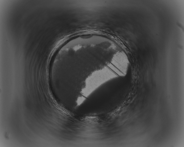 X0000097490055200803201539