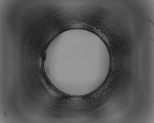 X0000097490057200803201539