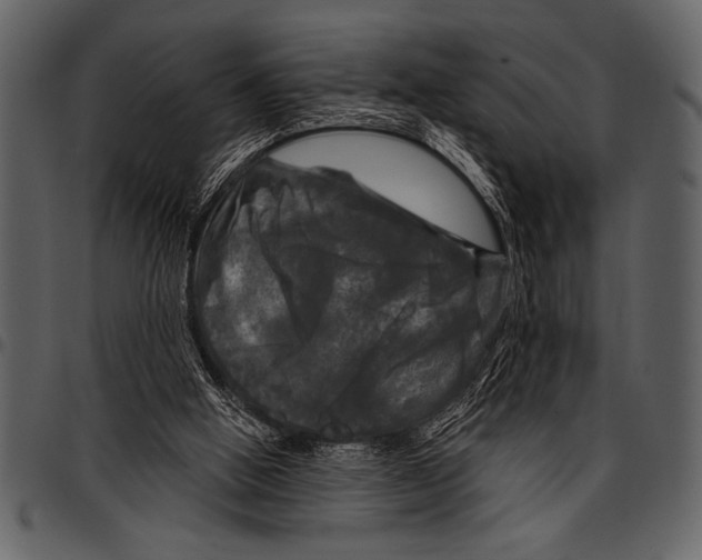 X0000097490058200803201539