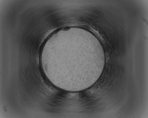 X0000097490060200803201539