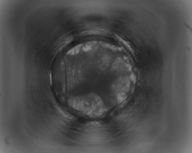 X0000097490061200803201539