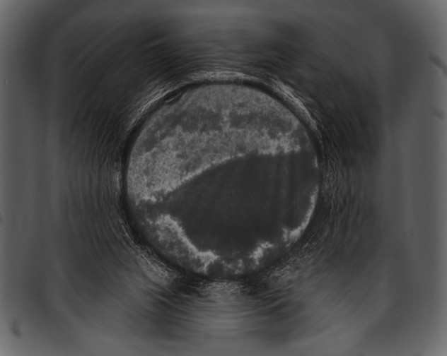 X0000097490063200803201539