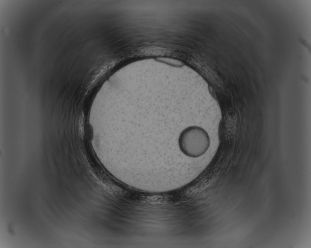 X0000097490064200803201539