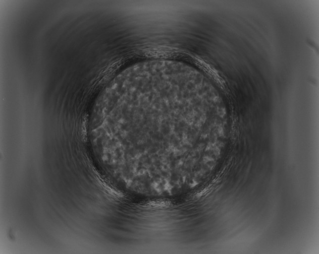 X0000097490065200803201539