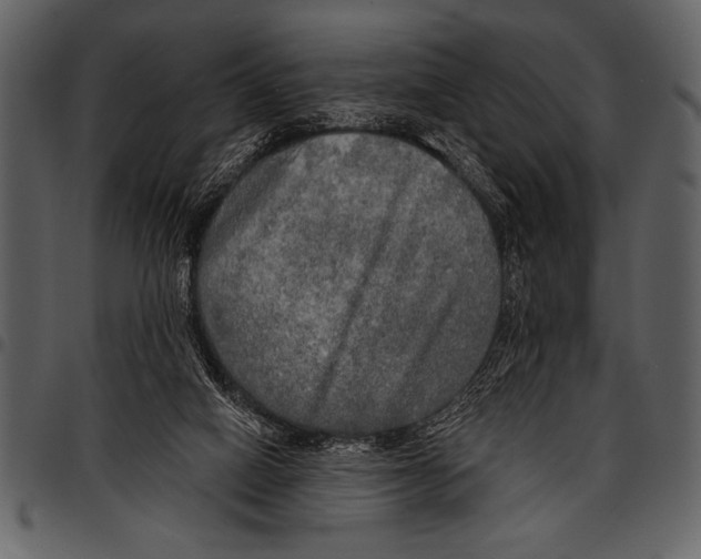 X0000097490066200803201539