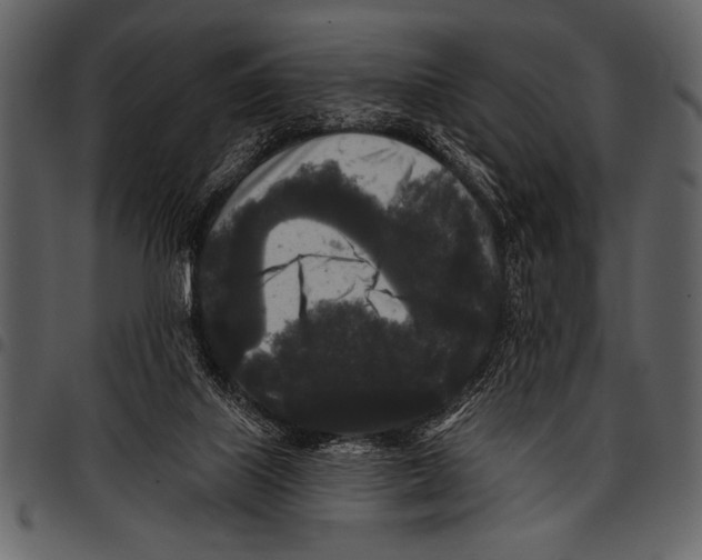 X0000097490067200803201539