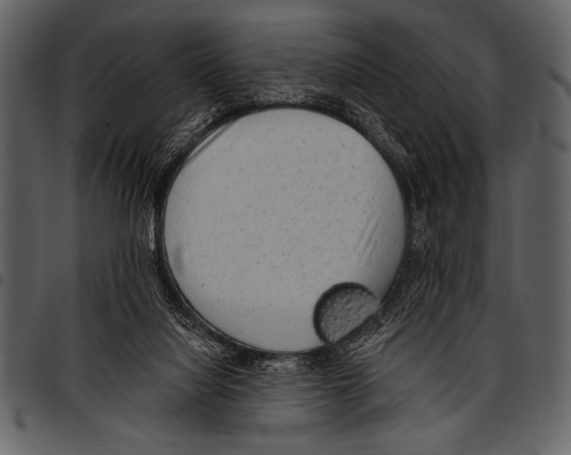 X0000097490068200803201539