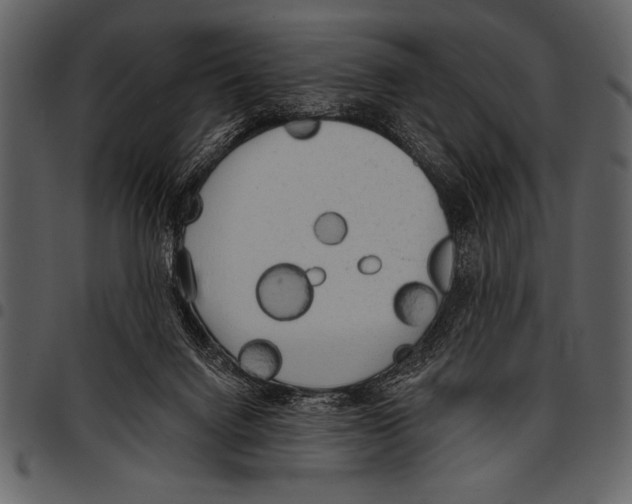 X0000097490072200803201539