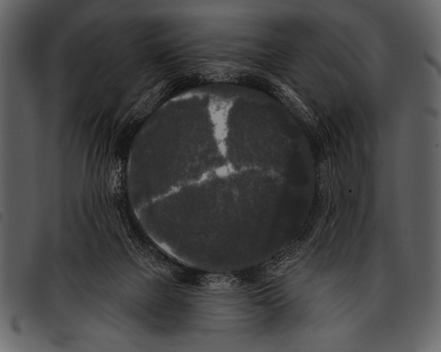 X0000097490073200803201540