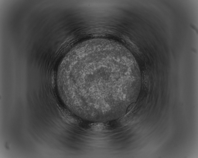 X0000097490074200803201540