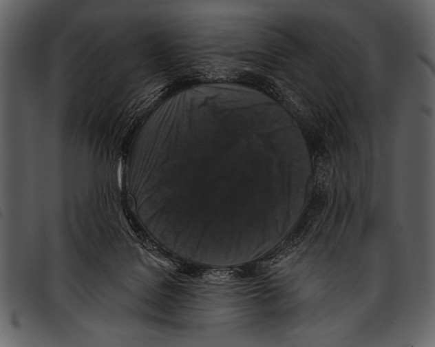 X0000097490076200803201540