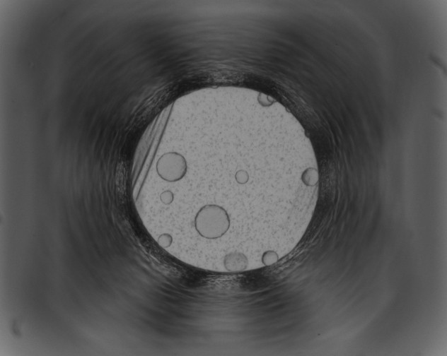 X0000097490078200803201540