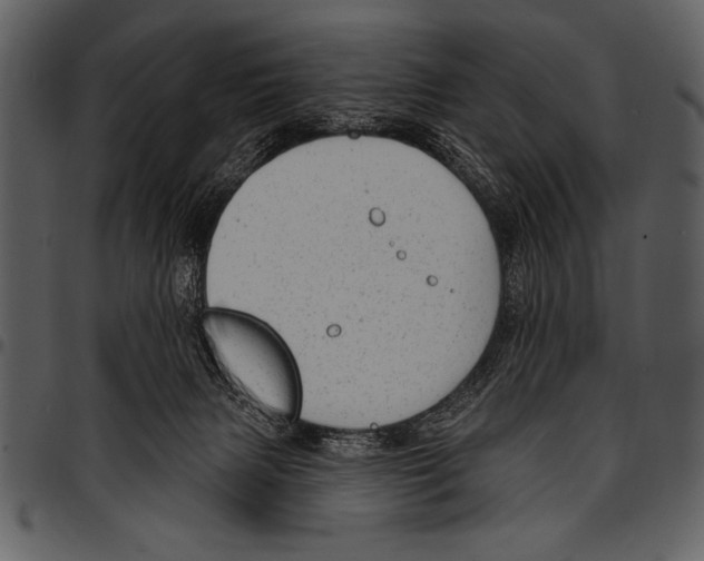 X0000097490079200803201540