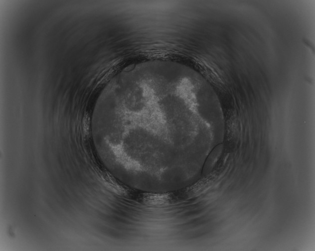 X0000097490081200803201540