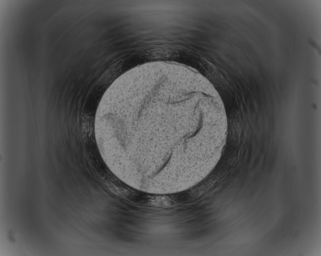 X0000097490091200803201540