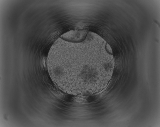 X0000097490094200803201540