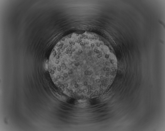 X0000097490095200803201540