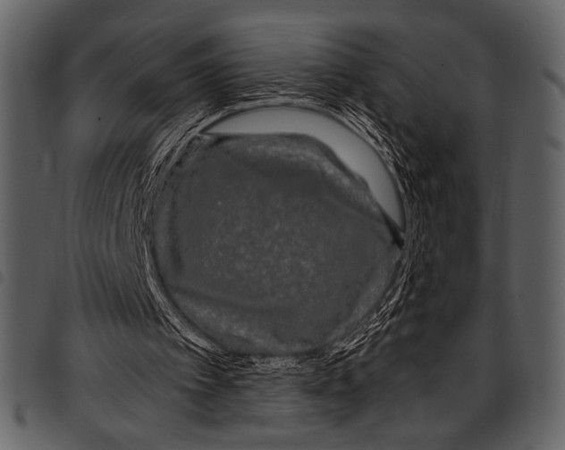 X0000097490097200803201539