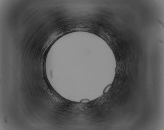 X0000097490098200803201539