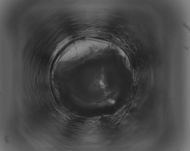 X0000097490099200803201539