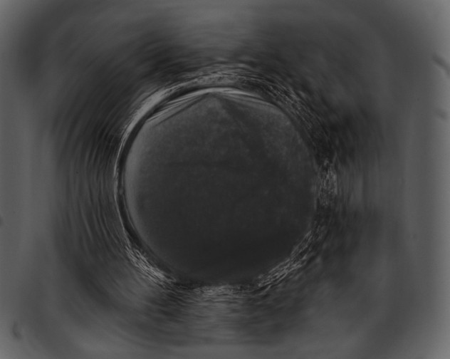 X0000097490100200803201539