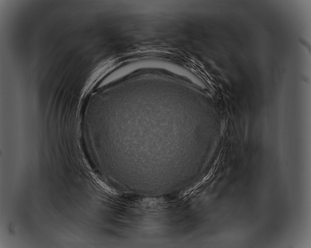 X0000097490101200803201539