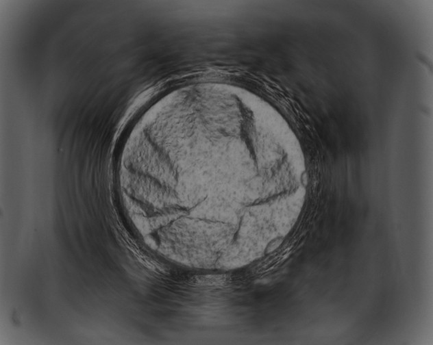 X0000097490102200803201539