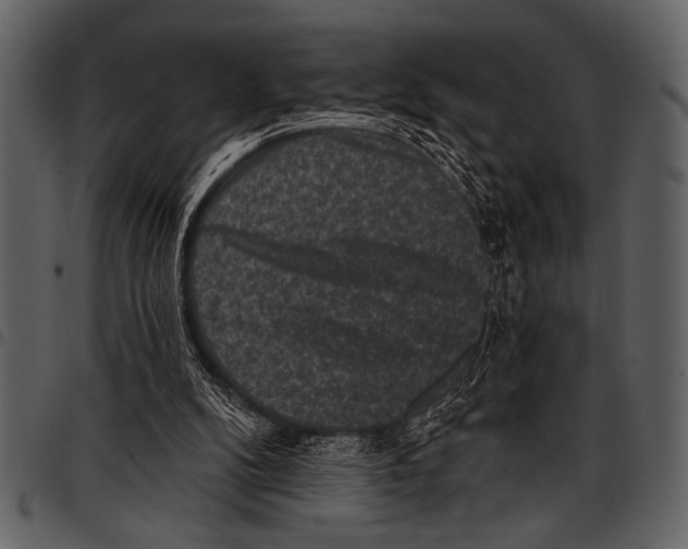 X0000097490104200803201539